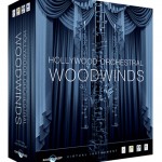 hollywoodorchestralwoodwinds